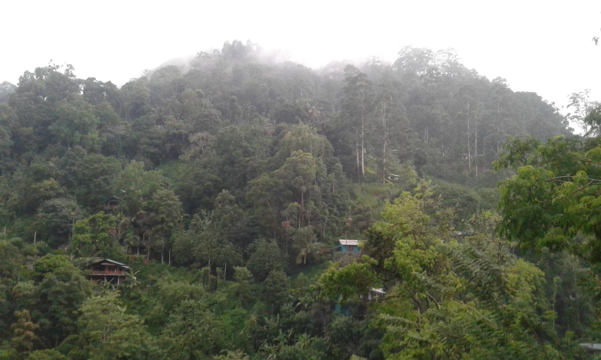 Ella Lucky Panoramic Hotel Room photo